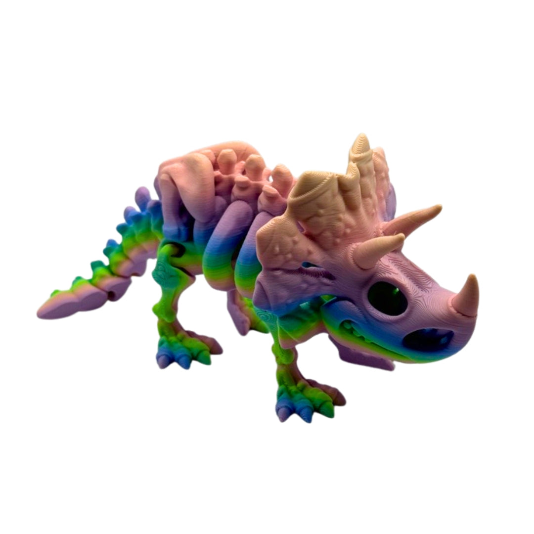 Skeleton Triceratops Dinosaur