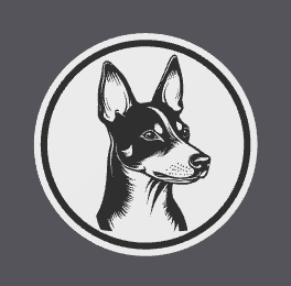 Basenji Coaster