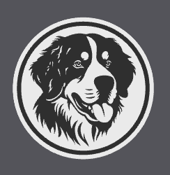 Bernese Mountain Dog Coaster