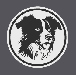 Bordercollie Coaster