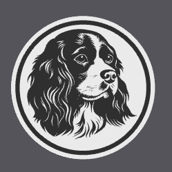 Cavalier King Charles Spaniel Coaster