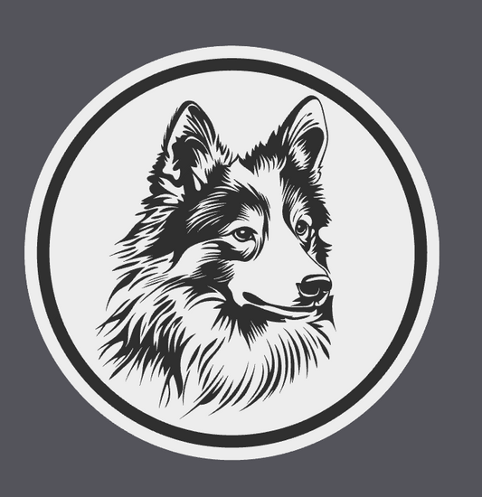 Icelandic Sheepdog Coaster