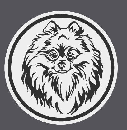 Pomeranian Spitz Coaster