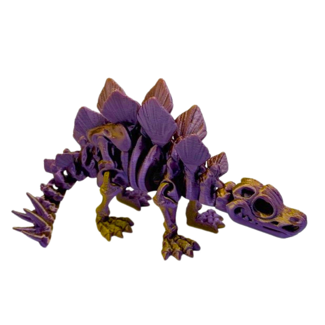 Skeleton Stegosaurus Dinosaur
