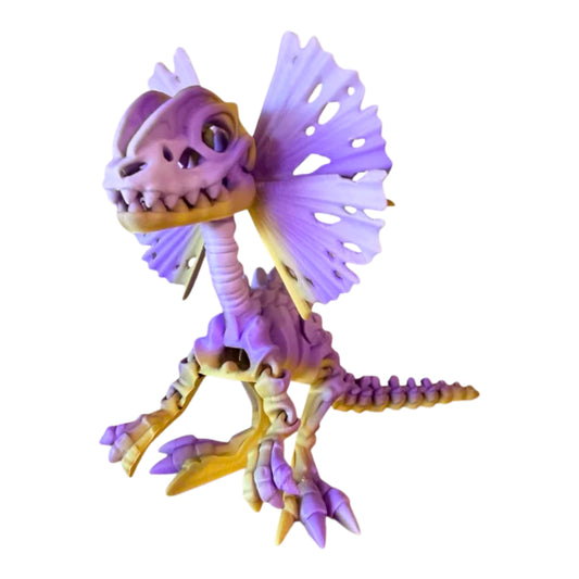 Skeleton Dilophosaurus Dinosaur
