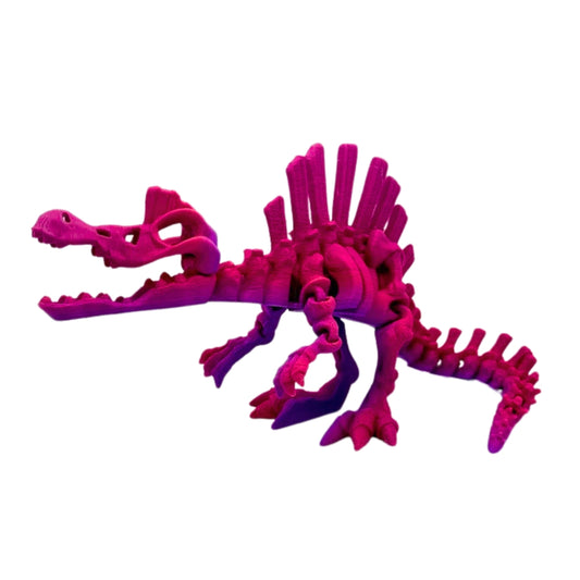 Skeleton Spinosaurus Dinosaur