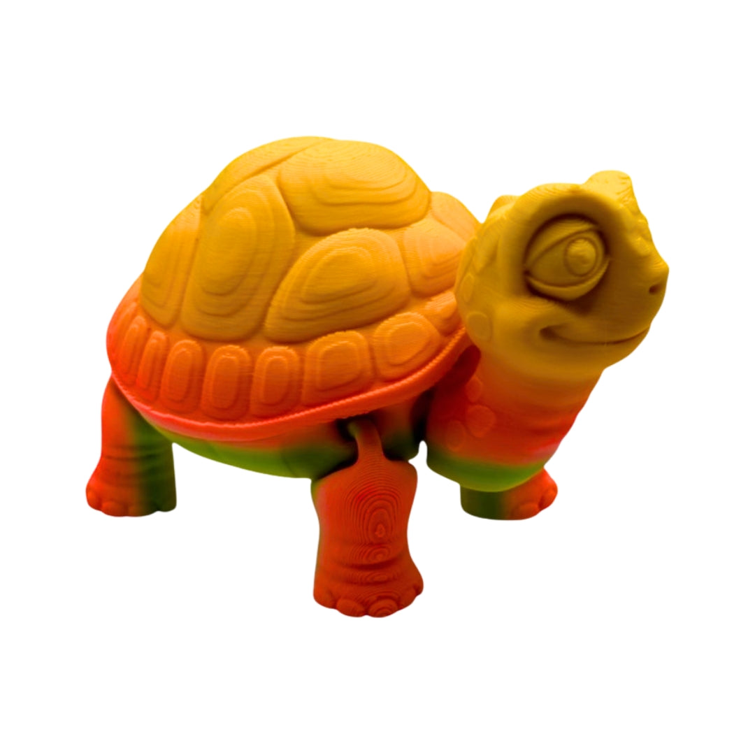 Tortoise